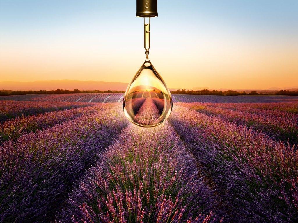 נוף מרהיב - ספא לאוקסיטן