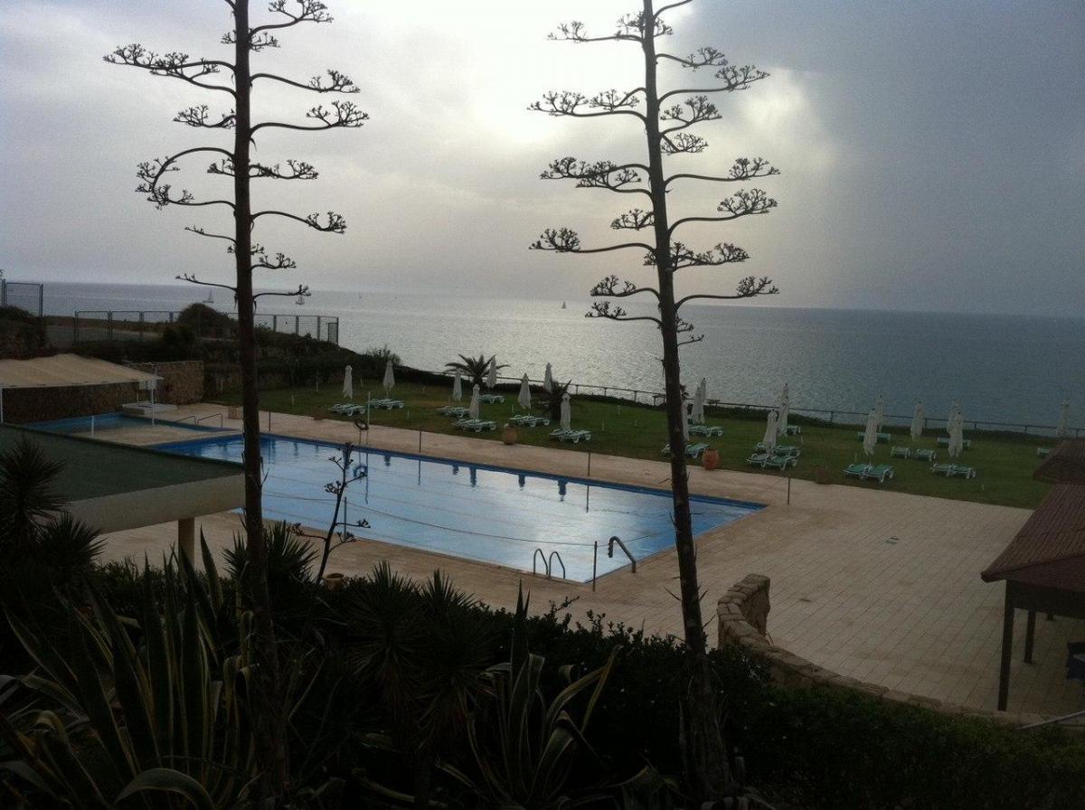 נוף לבריכה  - שרנא ספא במלון השרון הרצליה