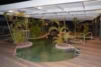  בריכה - ספא בחמת גדר