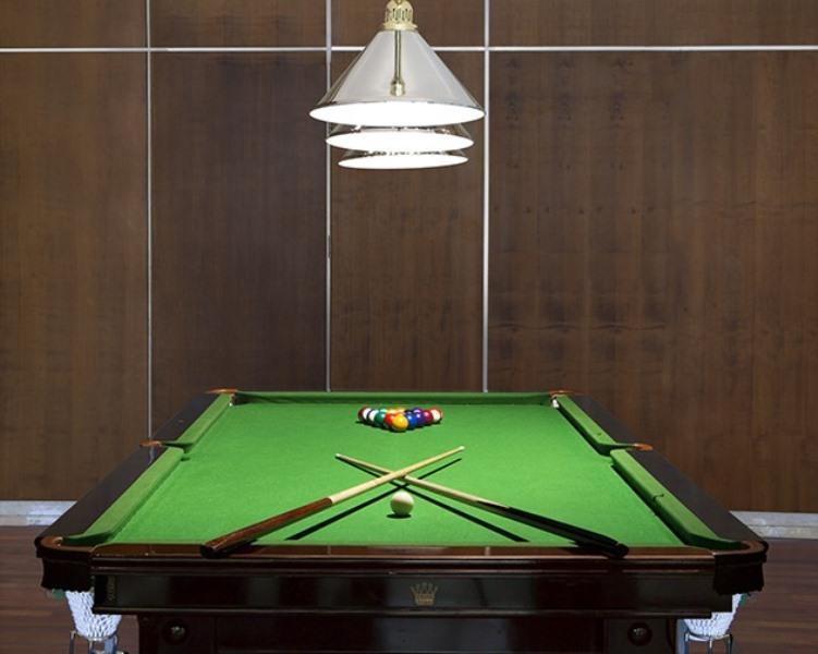  שולחן סנוקר - ספא וילג חמת גדר