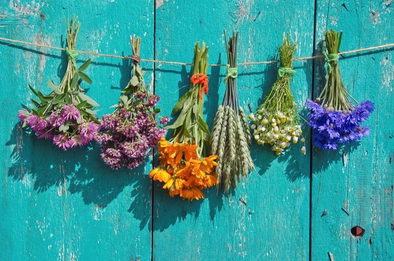  פרחים לאווירה - ספא הולמס פלייס - גבעת שמואל