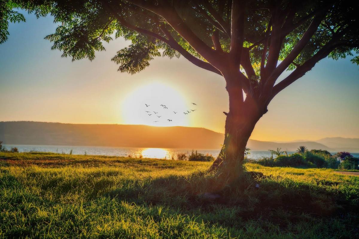  נוף משגע - כפר הנופש דריה
