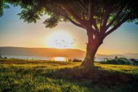  נוף משגע - כפר הנופש דריה