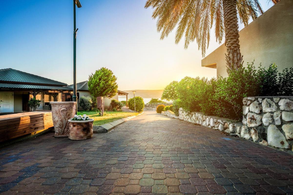  מתחם המקום - כפר הנופש דריה