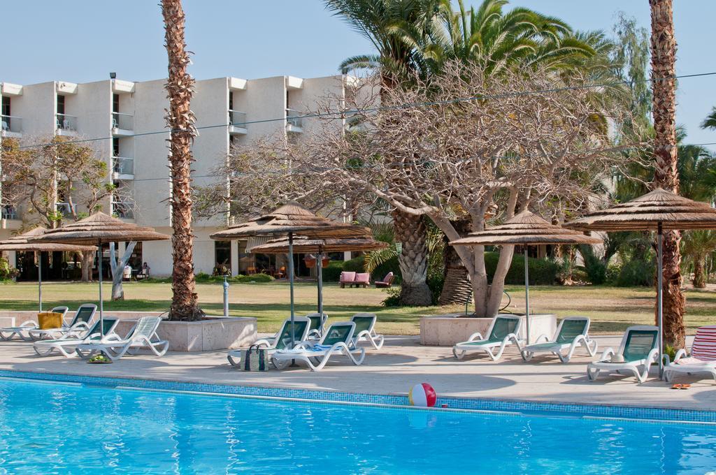   מיטות שיזוף ובריכה במלון - מלון לאונרדו אין ים המלח