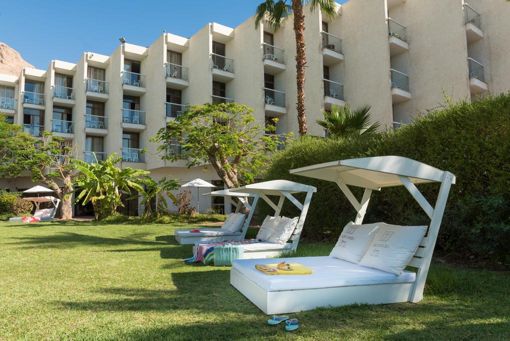  מיטות שיזוף במדשאות - מלון לאונרדו אין ים המלח