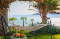 ערסל בחצר המלון - ספא סינרגיה במלון עין גדי