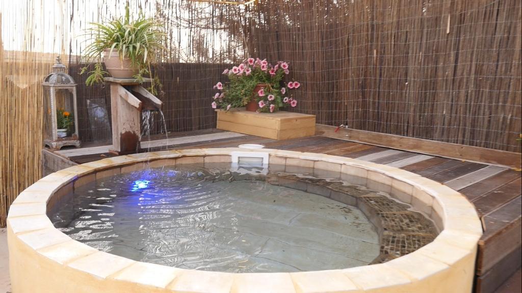 שכשוכית בחצר הספא  - ספא סמבטיוןן