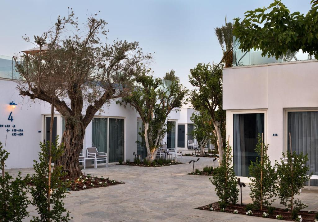 מתחם חיצוני בין חדרי המלון - ספא במלון מילוס ים המלח