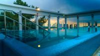  בריכה - מלון ספא אלמונד