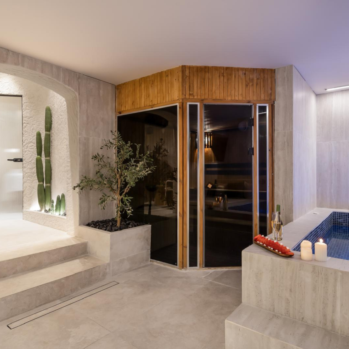  גקוזי וסאונה - ספר בהר פלטינום ירושלים