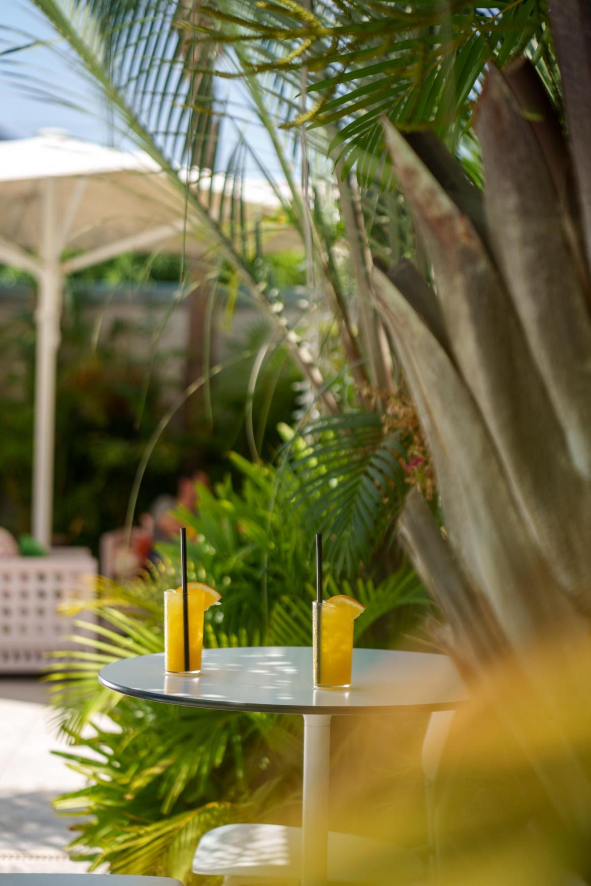  קוקזטלים - ספא אחוזת הספא