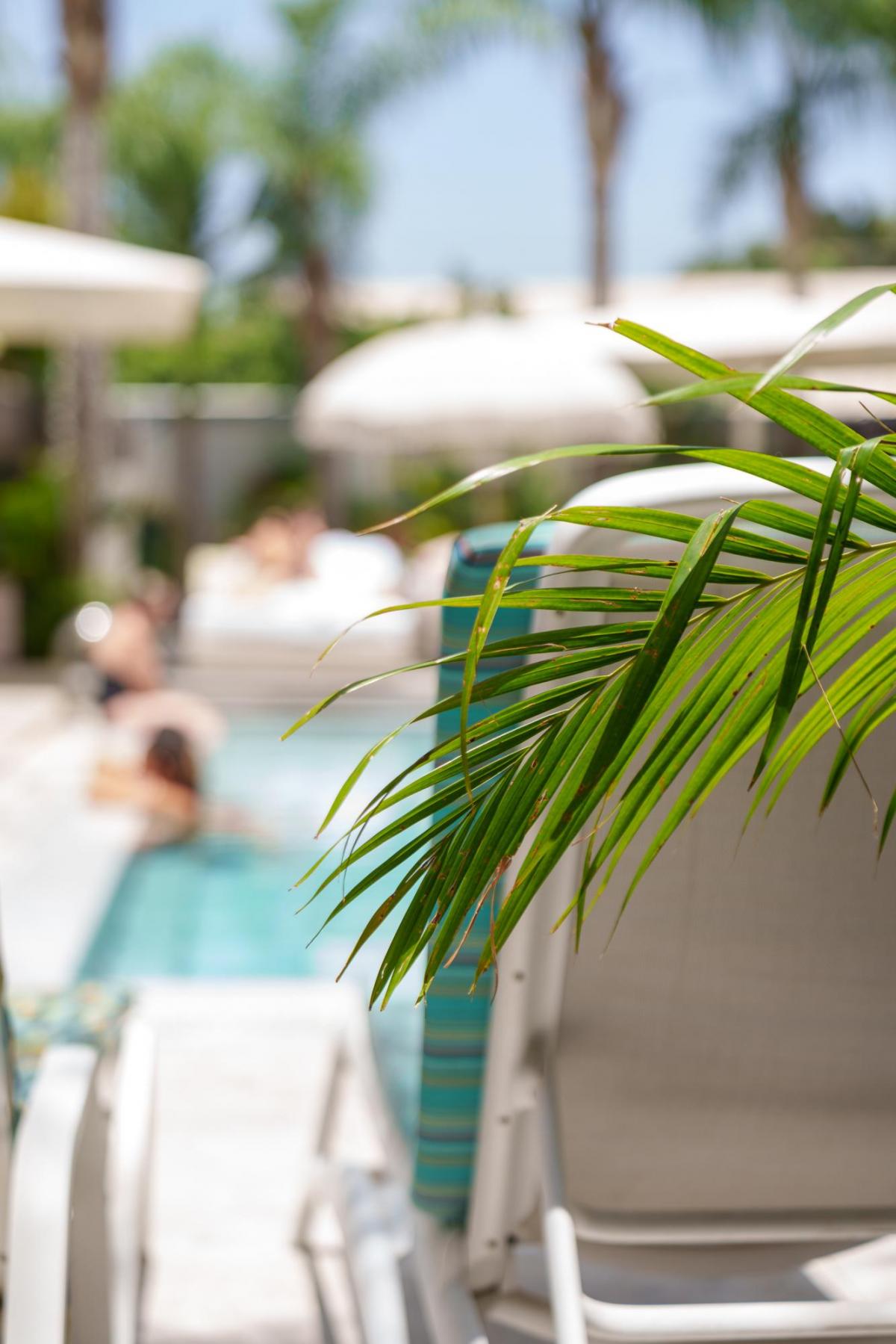   בריכה חיצונית - ספא אחוזת הספא