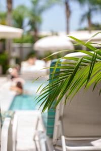   בריכה חיצונית - ספא אחוזת הספא