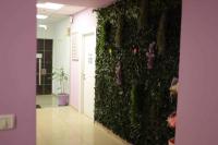  מתחם הספא - בפא תאי וויב 