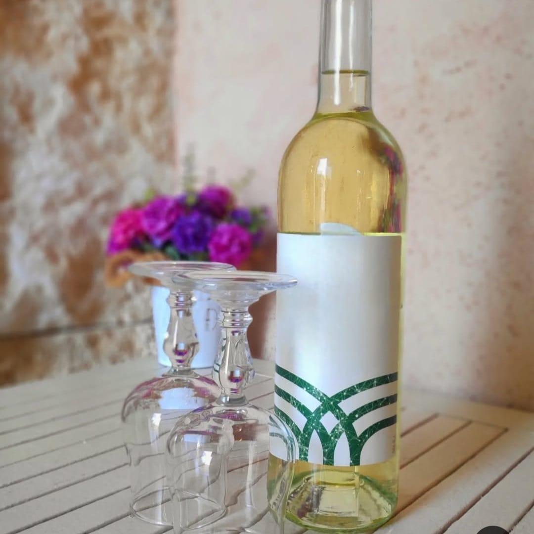  יין - ספא פלמינגו 