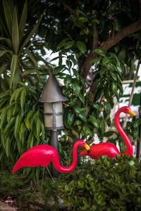  עיצוב הספא - ספא למינגו