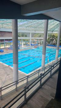 בריכה חיצונית - המרחב הפנימים 