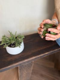  שתיה חמה - ספא נאות