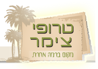 צימר טרופי-מקום ברמה אחרת