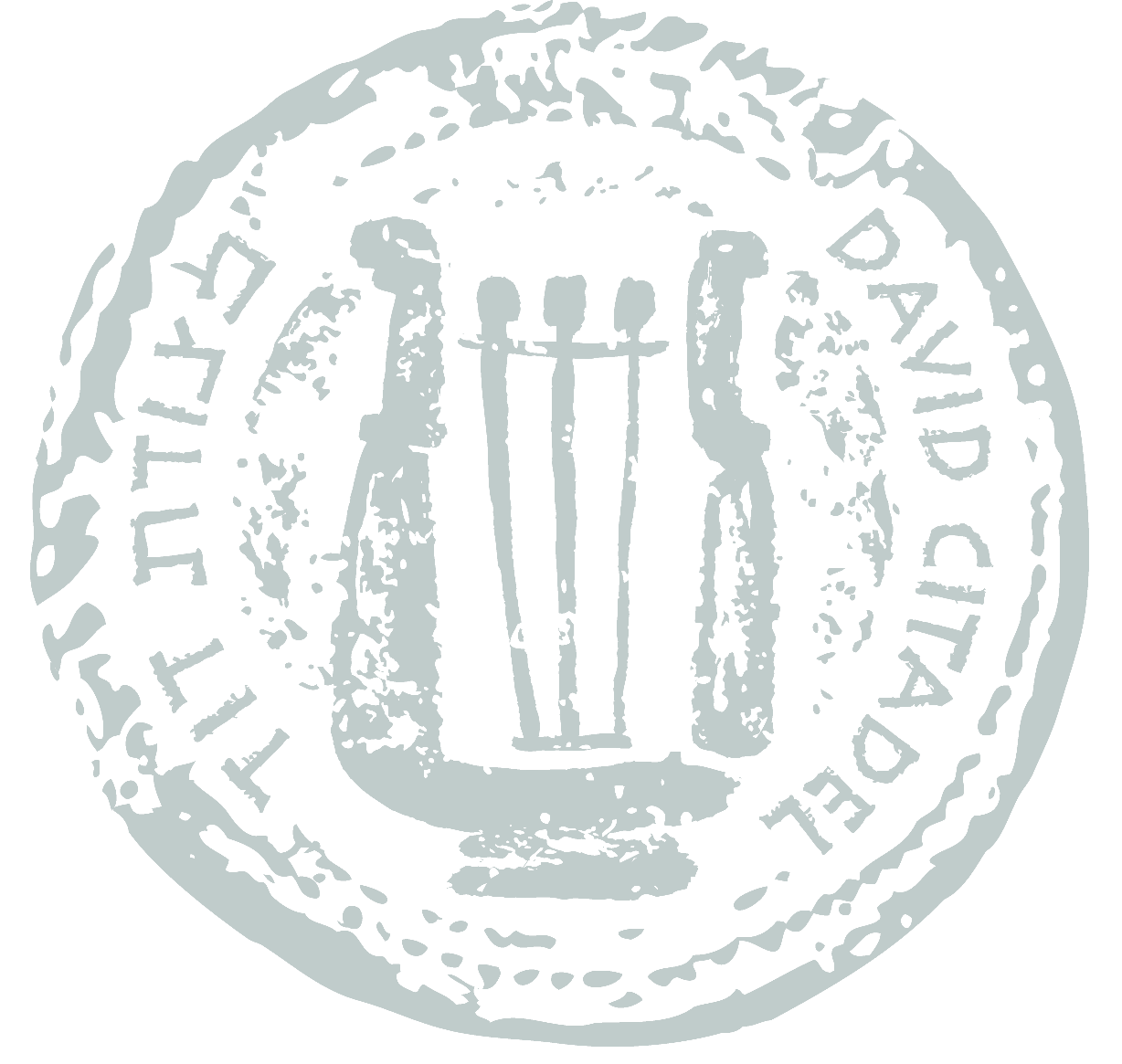 ספא מצודת דוד-DAVID CITADEL