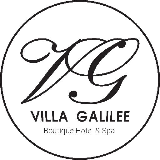 LOGO - מלון ספא וילה גליליי צפת 